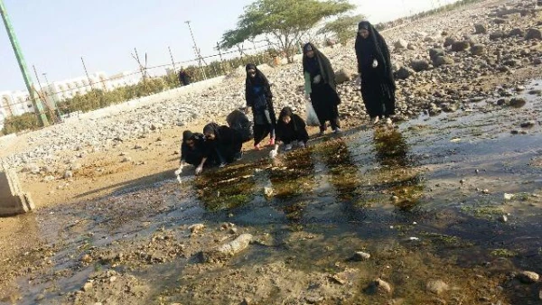 پیاده روی کانون سلامت