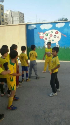 طرح حیاط پویا