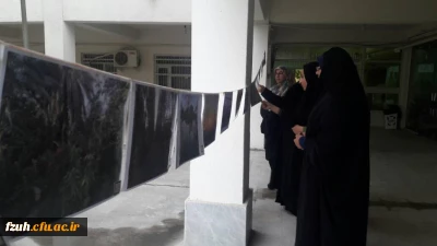 برگزاری نمایشگاه عکس در پردیس به مناسبت هفته خوابگاهها در تاریخ 96/02/22