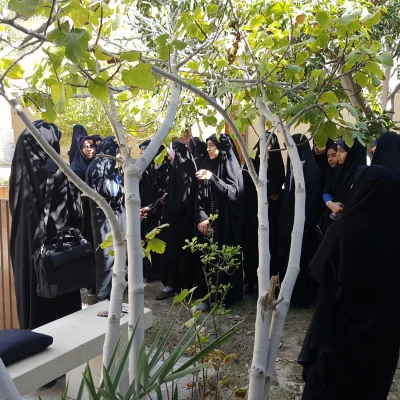 ۲۰۱۸۱۱۰۵_۰۹۵۹۴۶_resized_11