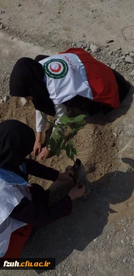 شرکت دانشجو معلمان عضو کانون هلال احمر در نهال کاری