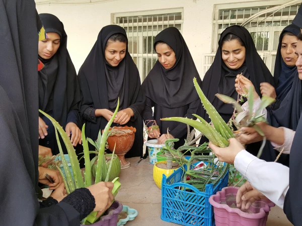 کاشت گل در محوطه آموزشی و خوابگاهی پردیس
 3