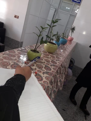 بازدید دانشجو معلمان پردیس از مرکز نگهداری معلولان حبیب ابن مظاهر در مورخ ۱۷اردیبهشت 5